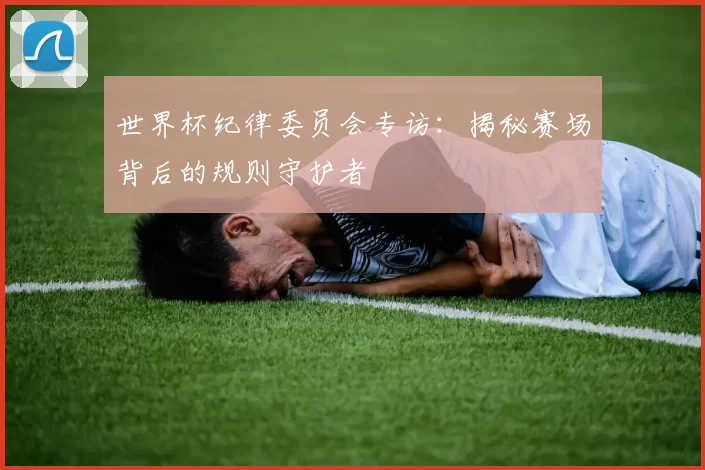 世界杯纪律委员会专访：揭秘赛场背后的规则守护者
