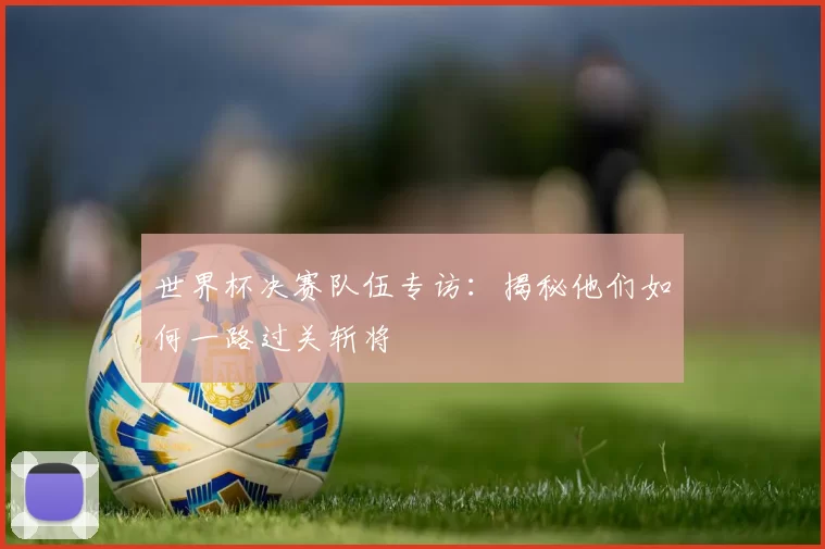 世界杯决赛队伍专访：揭秘他们如何一路过关斩将