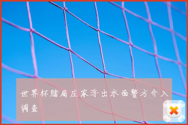世界杯赌局庄家浮出水面警方介入调查