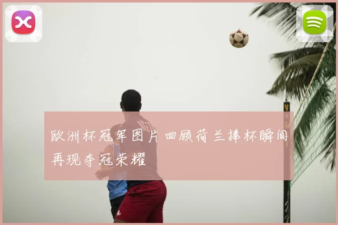 欧洲杯冠军图片回顾荷兰捧杯瞬间再现夺冠荣耀