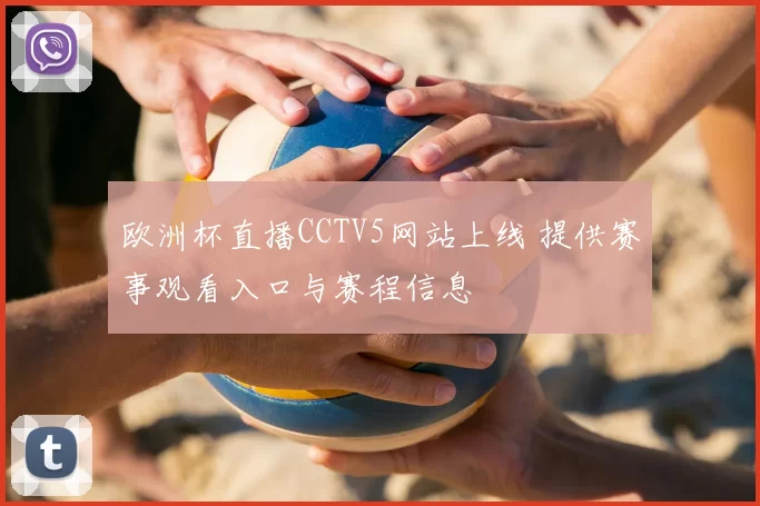 欧洲杯直播CCTV5网站上线 提供赛事观看入口与赛程信息