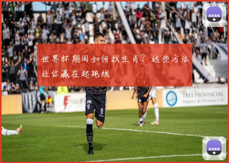 世界杯期间如何找生肖？这些方法让你赢在起跑线