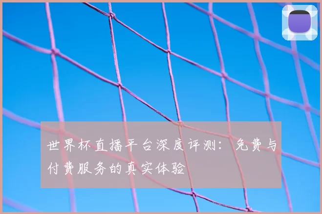 世界杯直播平台深度评测：免费与付费服务的真实体验