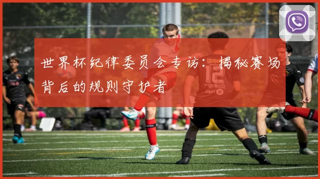 世界杯纪律委员会专访：揭秘赛场背后的规则守护者