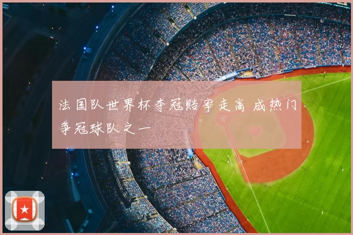 法国队世界杯夺冠赔率走高 成热门争冠球队之一