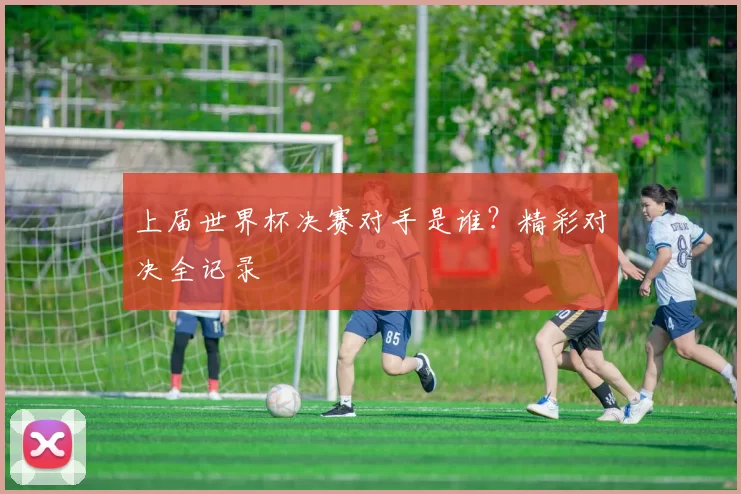 上届世界杯决赛对手是谁？精彩对决全记录